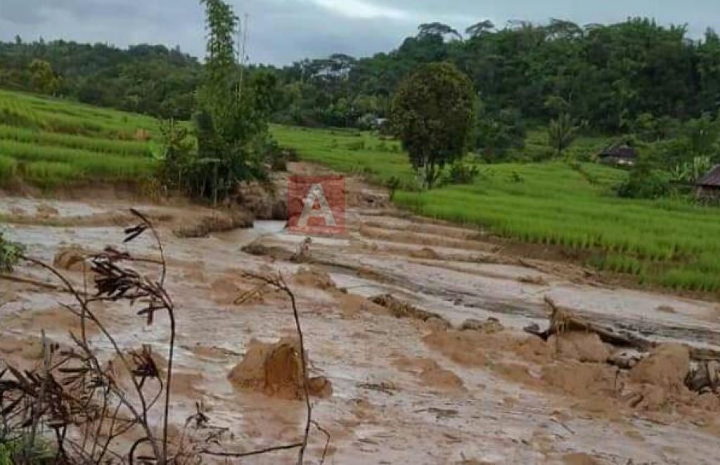 Terancam Gagal Panen Puluhan Hektar Sawah Petani Diterjang Banjir